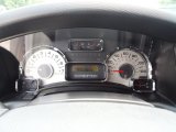 2010 Ford Expedition Limited Gauges