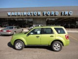 2011 Lime Squeeze Metallic Ford Escape XLT V6 4WD #51189107