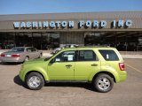 2011 Ford Escape XLT V6 4WD