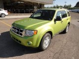 Lime Squeeze Metallic Ford Escape in 2011