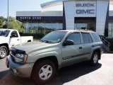 2003 Silver Green Metallic Chevrolet TrailBlazer LS 4x4 #51242173