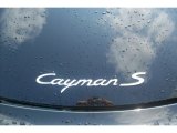 2009 Porsche Cayman S Marks and Logos