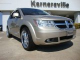 2009 Dodge Journey R/T