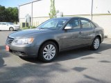 2010 Hyundai Sonata GLS
