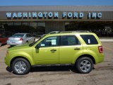 2012 Lime Squeeze Metallic Ford Escape XLT 4WD #51288719