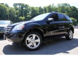 2009 Mercedes-Benz ML 350 4Matic