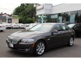 Mojave Brown Metallic BMW 5 Series in 2011