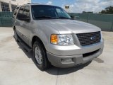 2003 Silver Birch Metallic Ford Expedition XLT #51425252