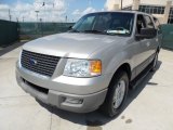 2003 Ford Expedition Silver Birch Metallic