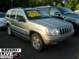 2001 Graphite Grey Pearl Jeep Grand Cherokee Limited 4x4 #51424964