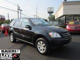 2007 Mercedes-Benz ML 350 4Matic
