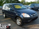 2004 Eternal Blue Pearl Honda CR-V EX 4WD #51424969