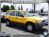 2001 Chrome Yellow Metallic Ford Escape XLS #51425266