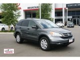 2011 Honda CR-V SE 4WD