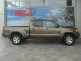 2010 Pyrite Mica Toyota Tacoma V6 SR5 TRD Sport Double Cab #51479633