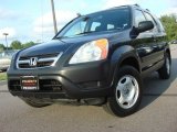 2004 Eternal Blue Pearl Honda CR-V LX #51542058