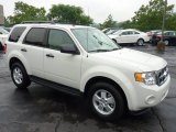 2011 White Suede Ford Escape XLT #51542039
