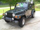 2004 Shale Green Metallic Jeep Wrangler Sahara 4x4 #51576281