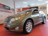 2010 Golden Umber Mica Toyota Venza AWD #51614131