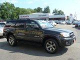 2008 Shadow Mica Toyota 4Runner Limited 4x4 #51613665