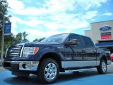 2011 Dark Blue Pearl Metallic Ford F150 XLT SuperCrew #51669665