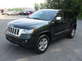 2011 Natural Green Pearl Jeep Grand Cherokee Limited 4x4 #51670083