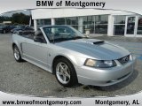 2004 Silver Metallic Ford Mustang GT Convertible #51723808