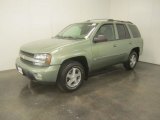 2004 Silver Green Metallic Chevrolet TrailBlazer LS 4x4 #51723831