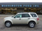 2012 Ford Escape XLT V6 4WD