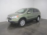 2007 Green Tea Metallic Honda CR-V EX-L 4WD #51723861