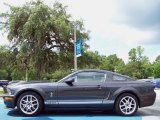 2009 Ford Mustang Alloy Metallic