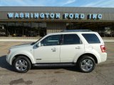 2008 Light Sage Metallic Ford Escape Limited 4WD #51777026