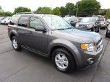 2012 Sterling Gray Metallic Ford Escape XLT V6 4WD #51776874