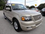 2006 Ford Expedition Pueblo Gold Metallic