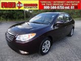 2009 Purple Rain Hyundai Elantra GLS Sedan #51825122