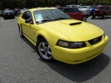 2002 Zinc Yellow Ford Mustang GT Coupe #51848556