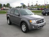 Sterling Gray Metallic Ford Escape in 2012