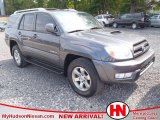 2005 Galactic Gray Mica Toyota 4Runner SR5 #51855320