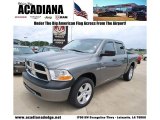 2009 Mineral Gray Metallic Dodge Ram 1500 ST Crew Cab 4x4 #51856450