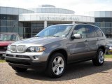 2006 Sterling Grey Metallic BMW X5 4.4i #5180548