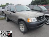 Mineral Grey Metallic Ford Explorer in 2005
