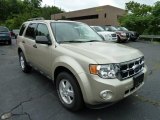 2011 Ford Escape XLT 4WD