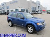 2008 Vista Blue Metallic Ford Escape XLS 4WD #51856007
