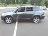 Black Forest Pearl Toyota RAV4 in 2010