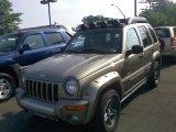 2004 Jeep Liberty Renegade 4x4 Front 3/4 View