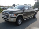 Sagebrush Pearl Dodge Ram 2500 HD in 2011