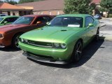 2011 Green with Envy Dodge Challenger SRT8 392 #51989433