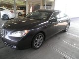 2008 Truffle Brown Mica Lexus ES 350 #51989556