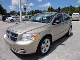 2010 Dodge Caliber SXT