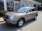 2005 Mocha Frost Beige Hyundai Santa Fe GLS 4WD #52039746